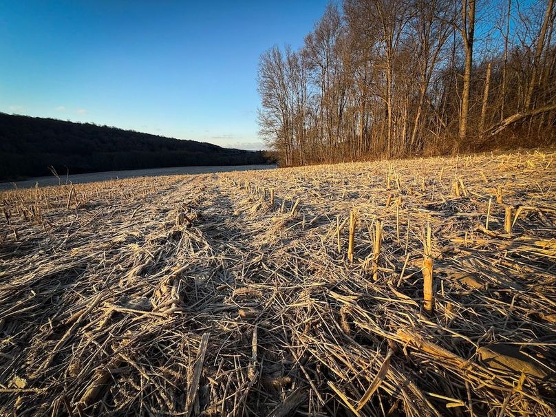 Cayuga 32 Stoyell Photos 48