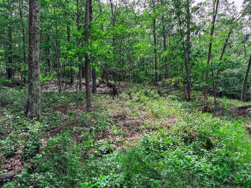 Wirt, WV 137.45 AC Full-53