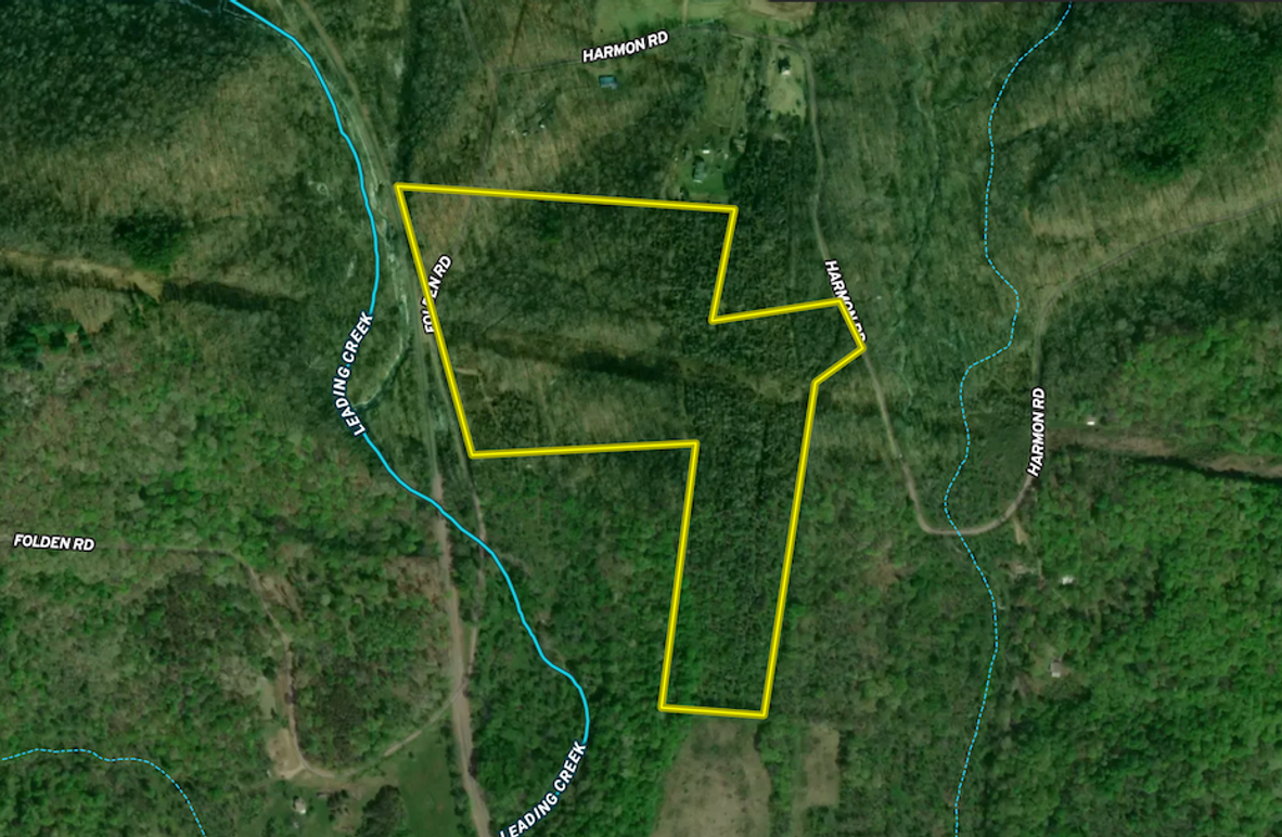 Screenshot 2025-04-25 at 3.16.12 PM