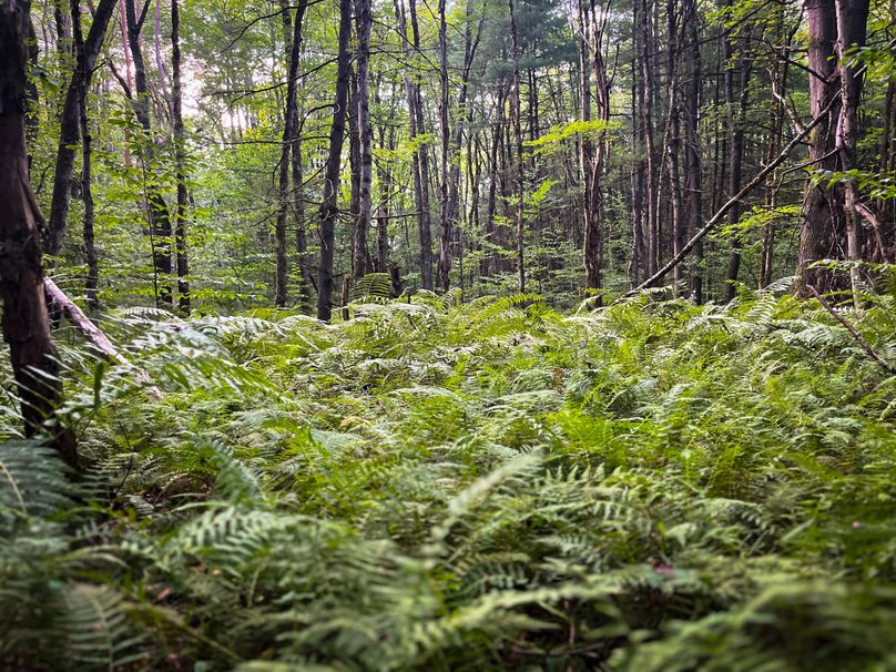 Oswego_30_RouselandInvestments_LLC_Photos_27