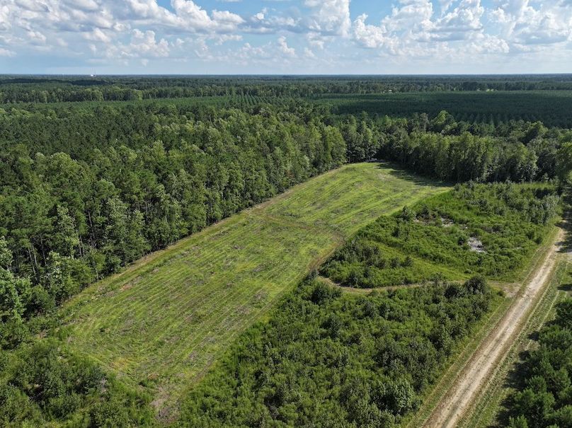 DJI_20240820163515_0006_D