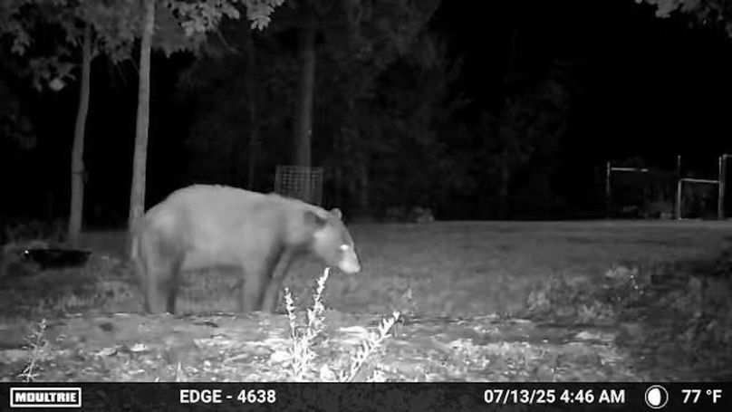 Temp_1498388-20250713094655-100MFCAM_MFDC0603