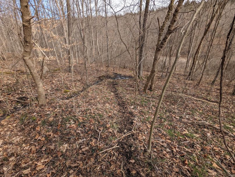 PXL_20230213_165421856.MP