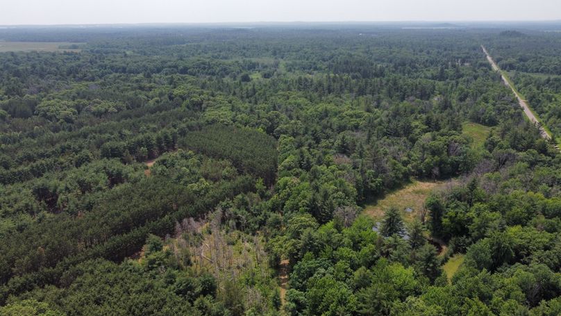 dji_fly_20230610_115736_603_1686416470726_photo_optimized