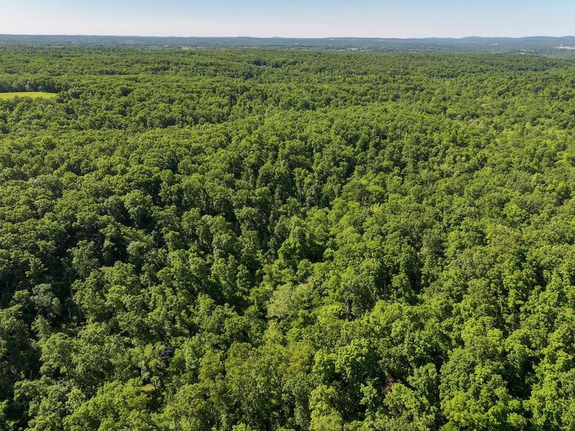 DJI_20250522095001_0366_D