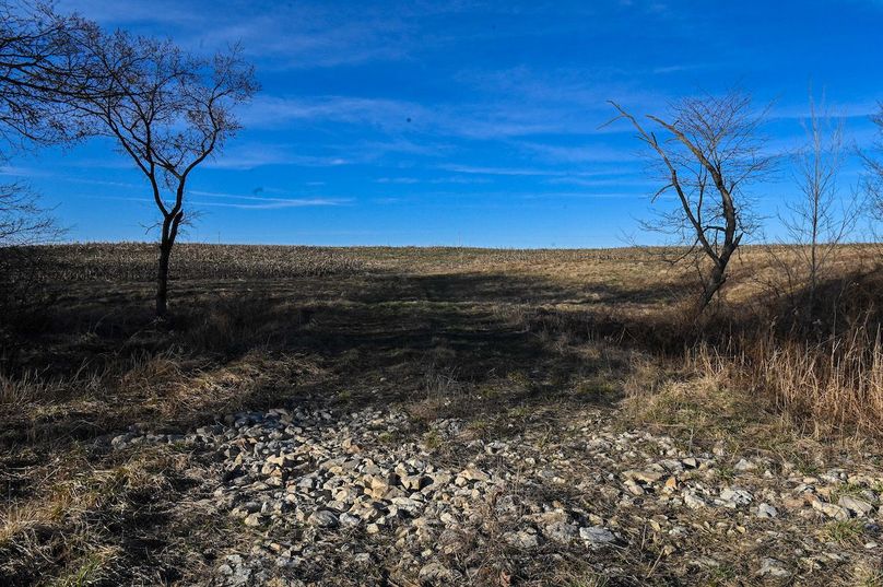 vandalia 450 (2)-2220