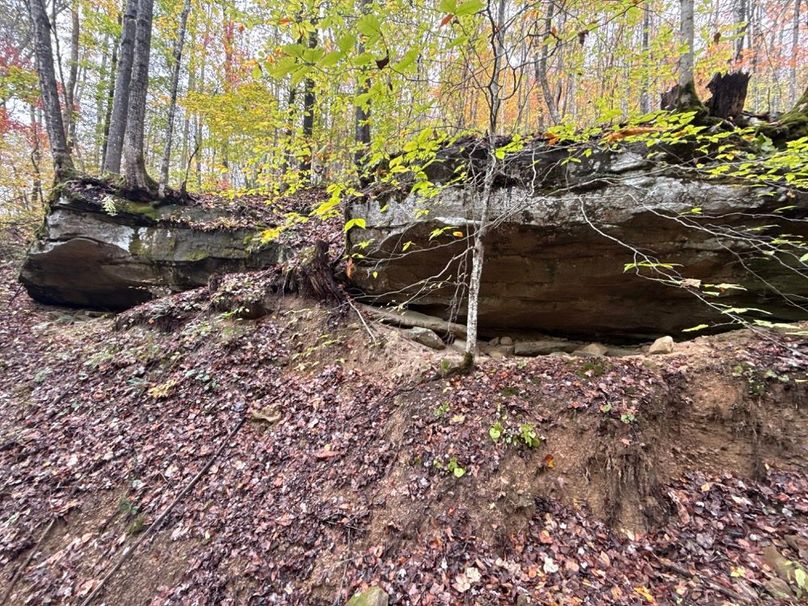 003 Rock Cave on South Side of Drainage-2