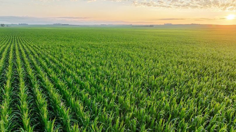 Copy of Copy of DJI_0324