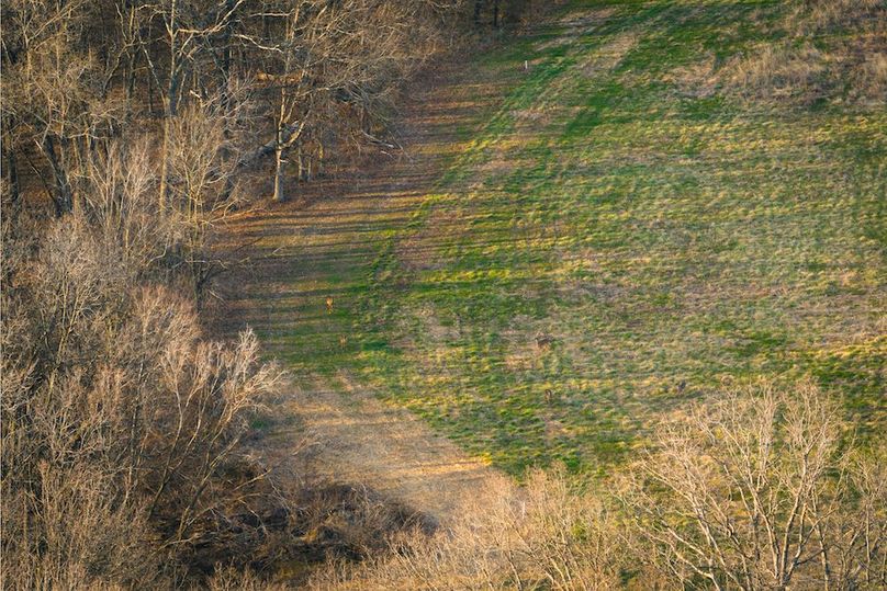 DJI_20260324175557_0091_D-HDR