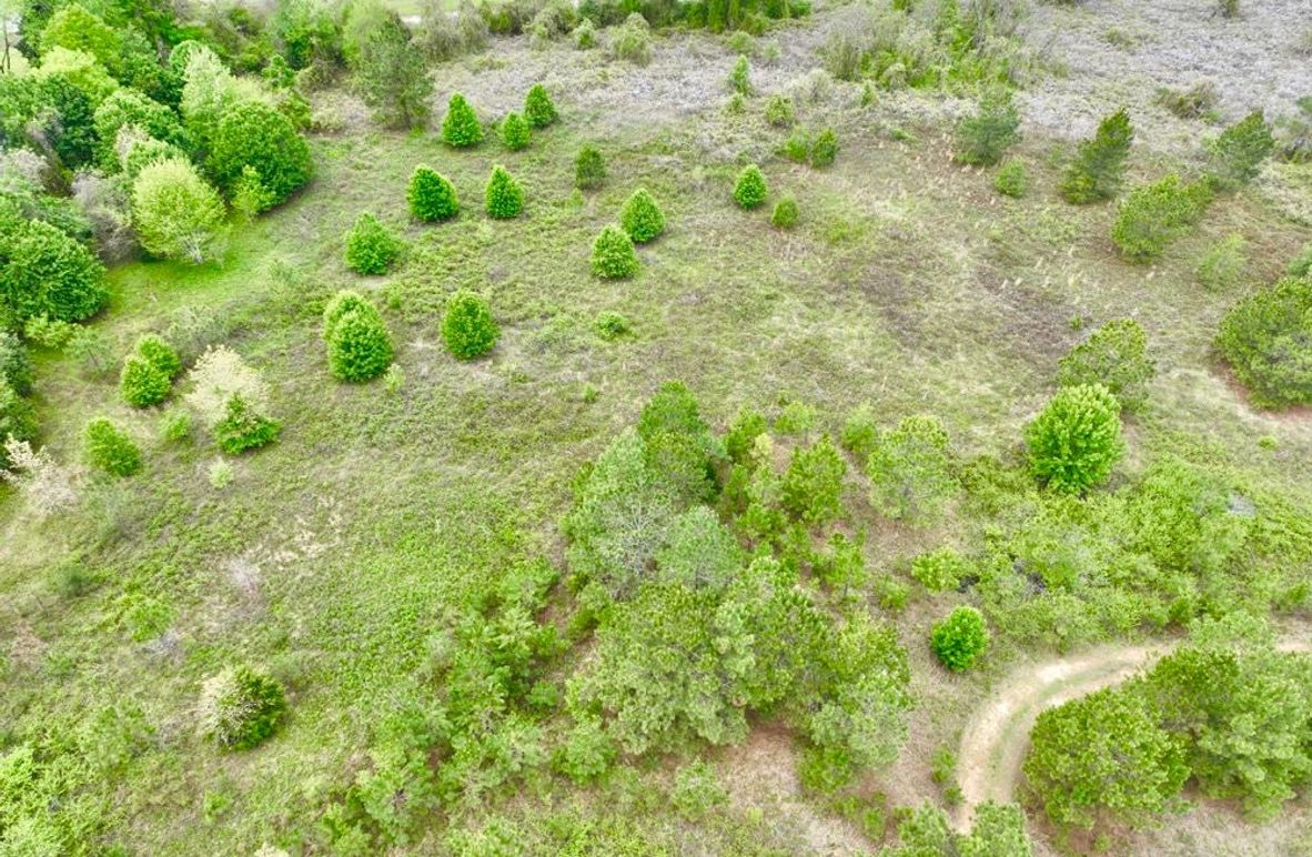 dji_fly_20250403_134456_650_1743702529376_photo