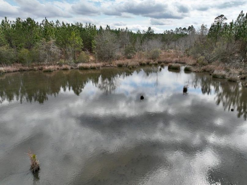 dji_fly_20260211_133600_326_1770835090638_photo