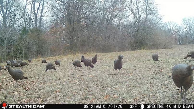 2026010109213401000159_ColorizationType.none