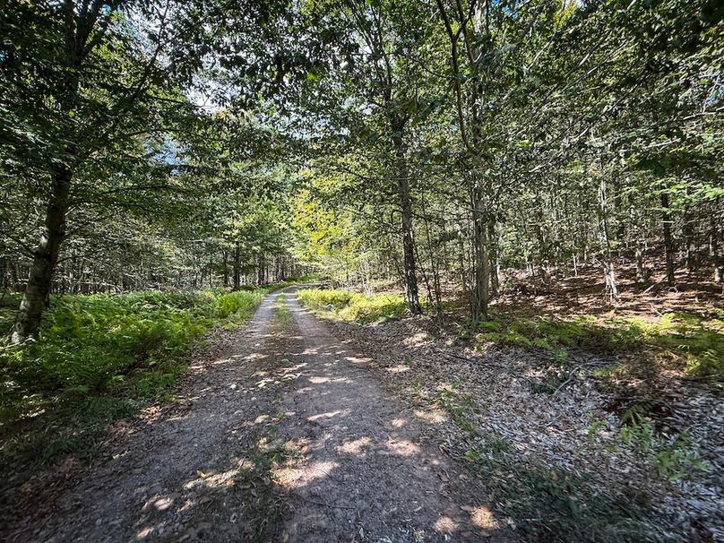 Oswego NY 18.18 Martin Photos 20