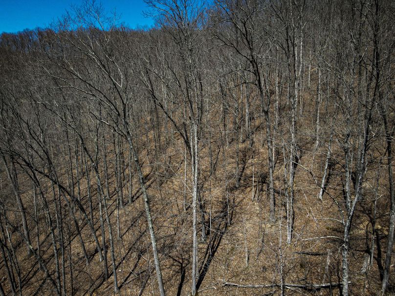 dji_fly_20230410_130830_610_1681146520598_photo 2