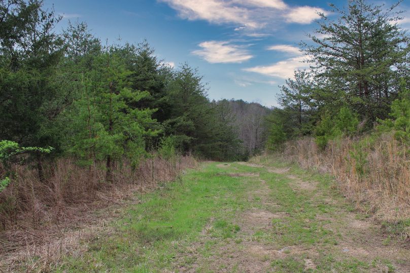 010 lane opening near the north boundary