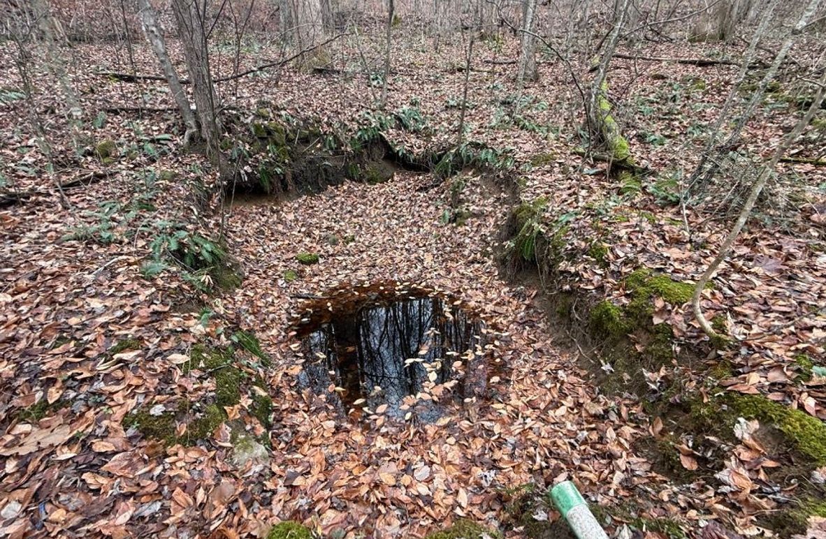 005 the spring trough near the center of the property