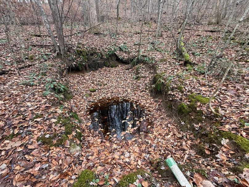 005 the spring trough near the center of the property