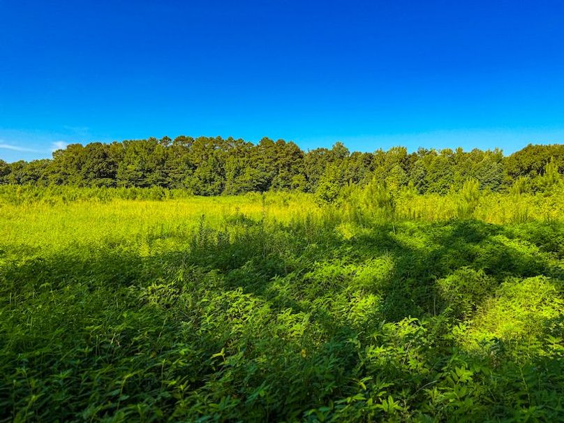 Itawamba 400 Moore-10