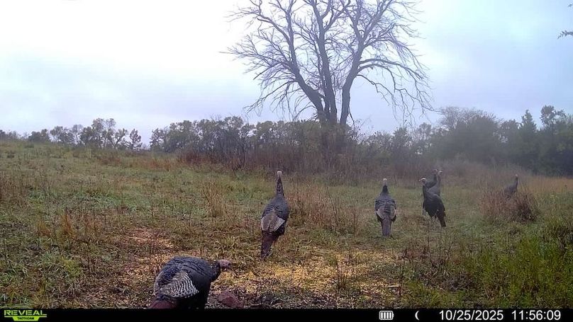 016578001892675-100-3-10252025115609-SYFW15391