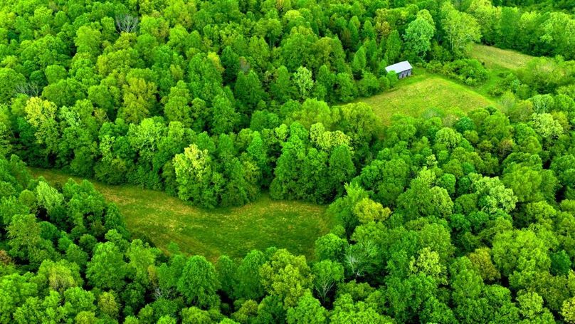 46
