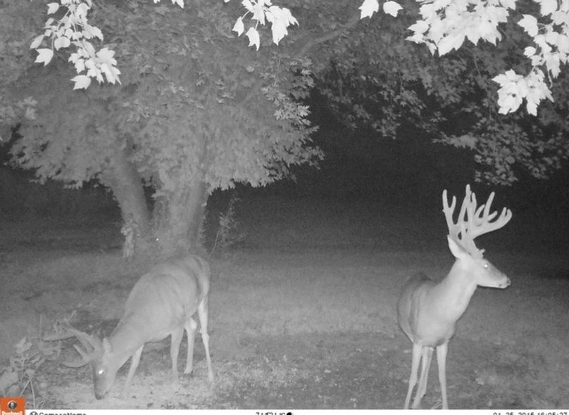 3A6AB737-364C-4E09-8B11-F62346B295C5