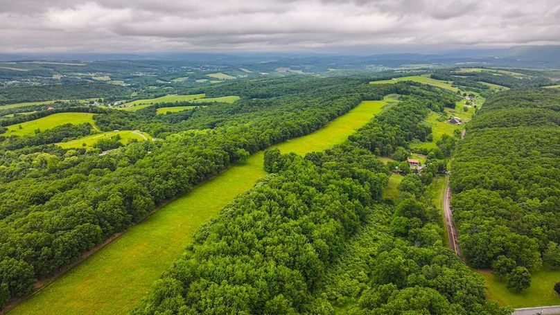 Bedford,121,Beegle-52