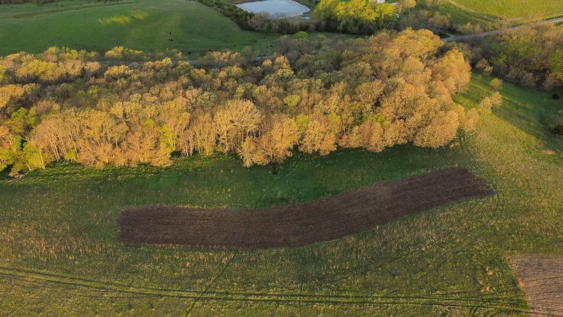 MONTGOMERY CO IA. 156.78_50