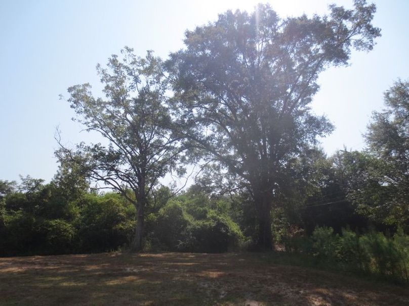 A8861165-3CFA-41B9-A1C4-FDEDFAC8C112_1_105_c