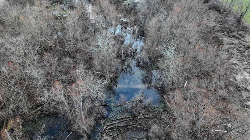 Phillips 8.5 Trahan -21