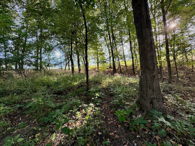 Richland 199Ground - 51