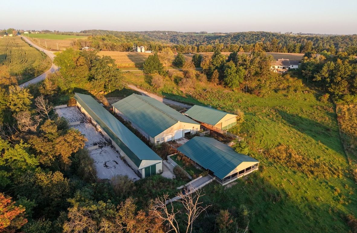 Monroe 5.31-06 Large