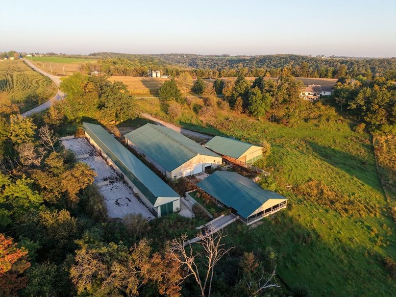 Monroe 5.31-06 Large