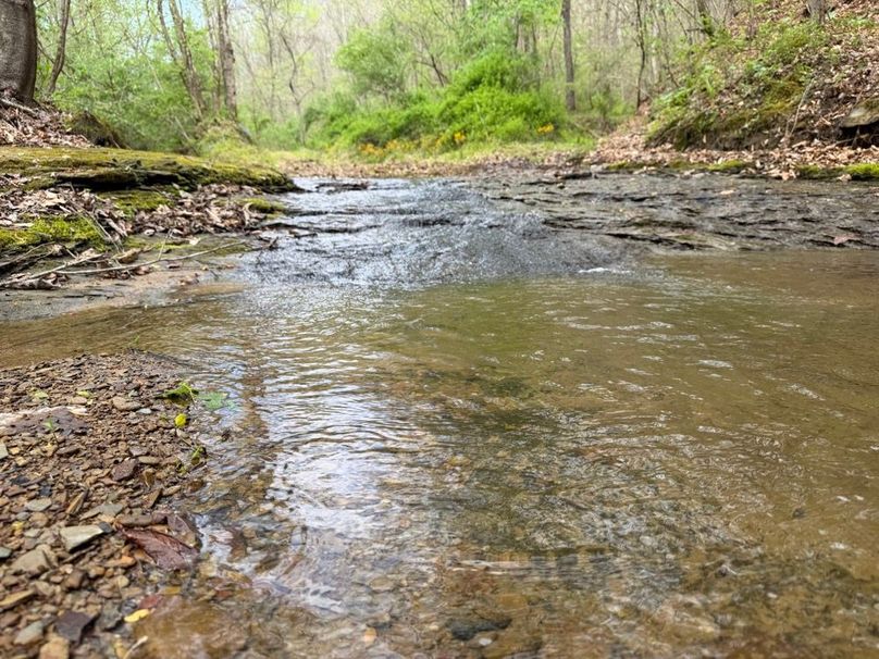 007 Blue Line Stream Running Down the Valley