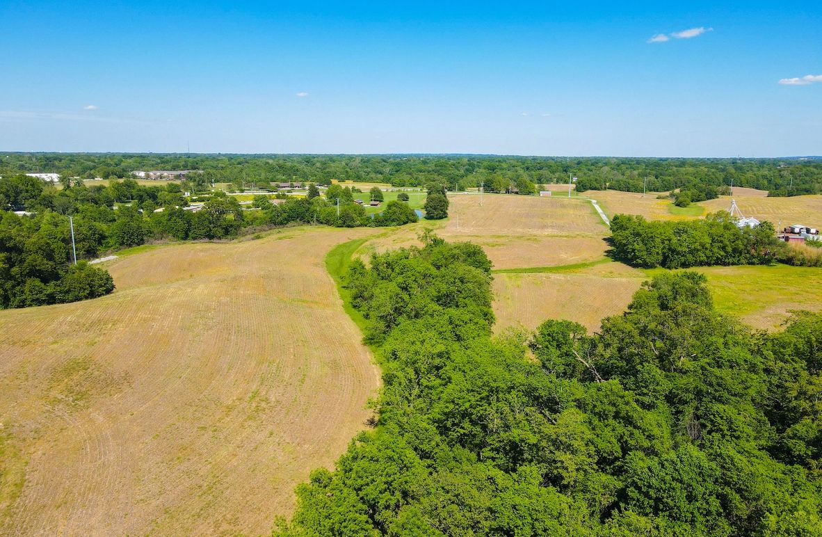 Copy of st clair 25 auction(4)