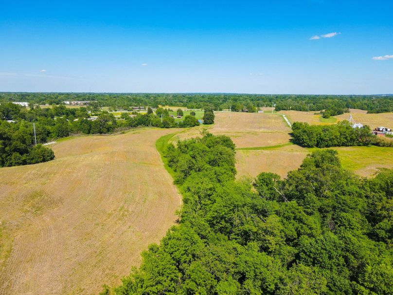 Copy of st clair 25 auction(4)