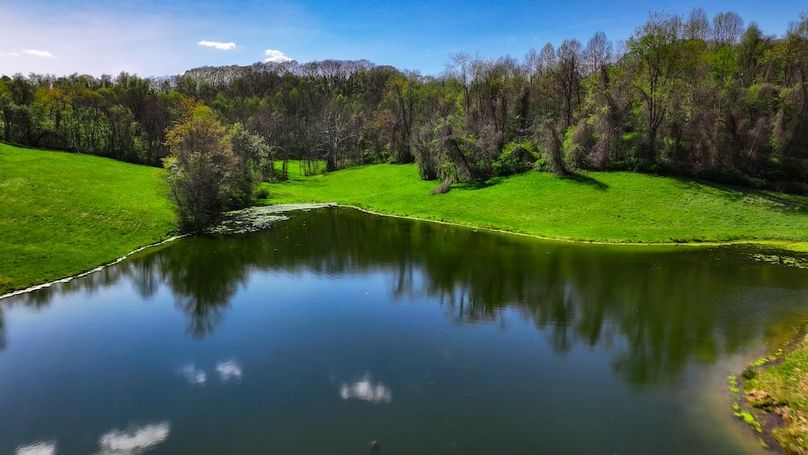 DJI_20250425040131_0411_D