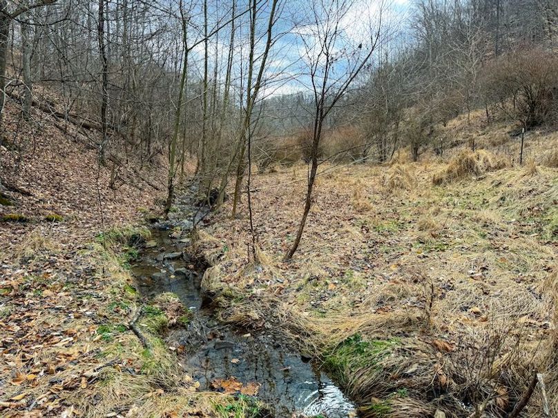 Doddridge, WV 79.08 AC Adams-76