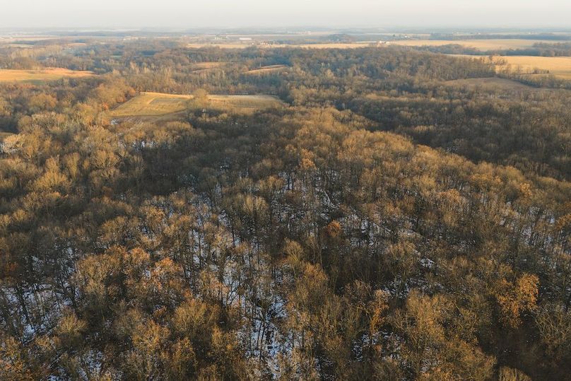 DJI_20251223080524_0176_D