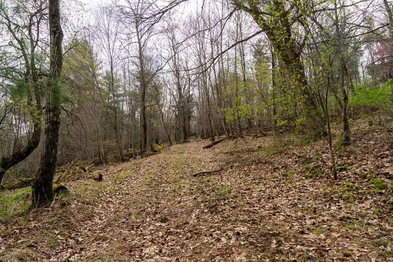 Clarion River-79