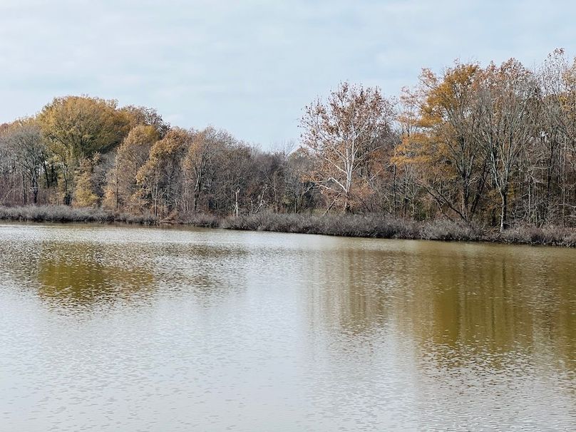 across lake