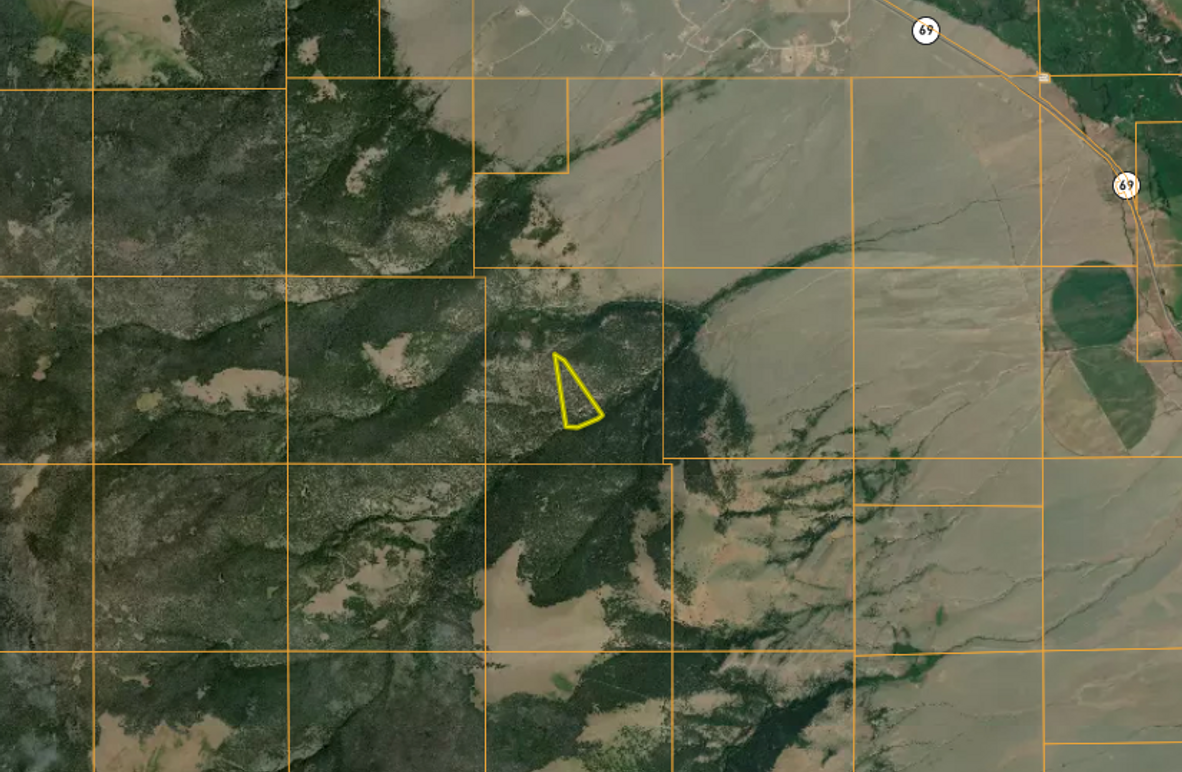 Screenshot 2025-08-01 at 10.29.55 AM