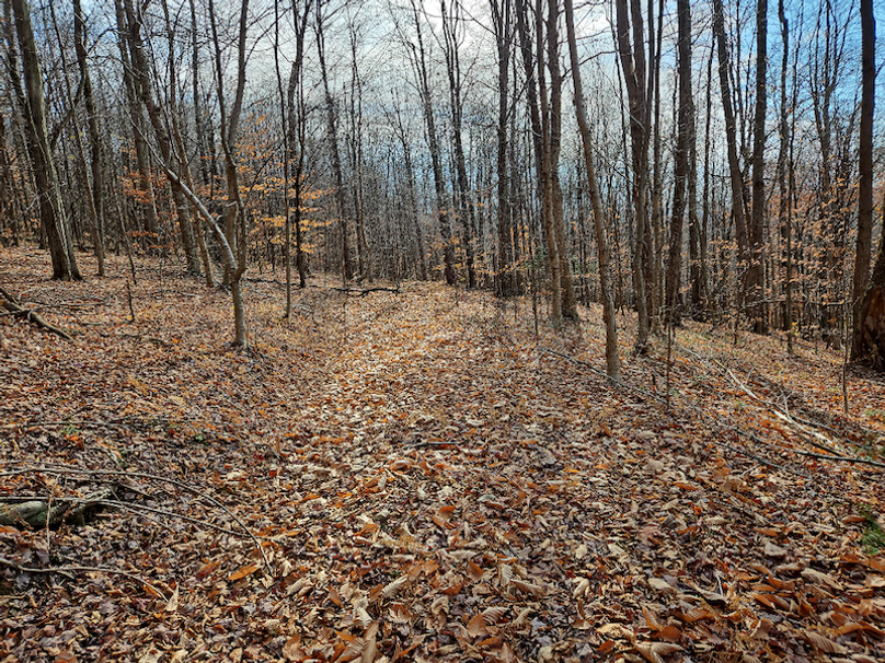 photo_9fedacfd-9cc8-43cb-8692-c03fab701354