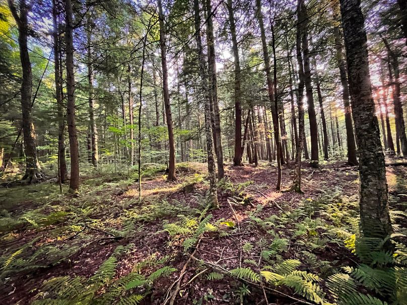 Oswego_30_RouselandInvestments_LLC_Photos_31