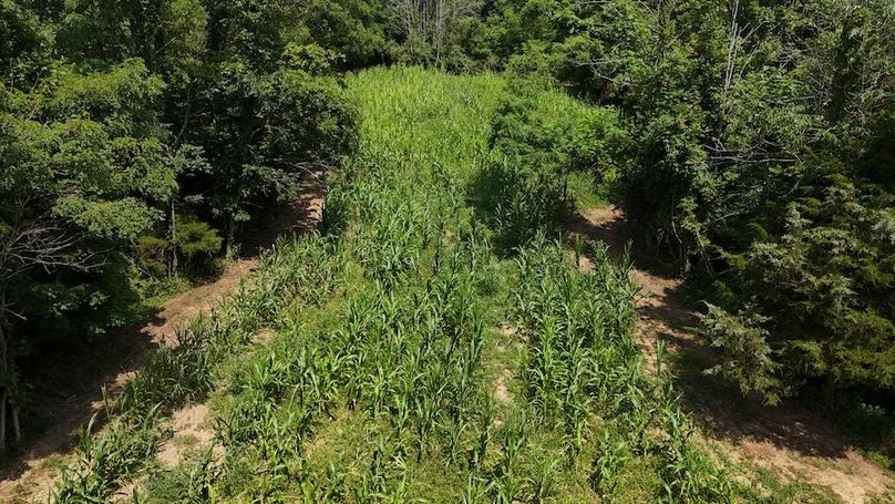 DJI_20250713152604_0570_D