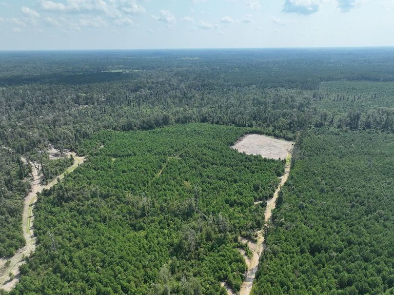 dji_fly_20240814_114514_755_1723676237478_photo