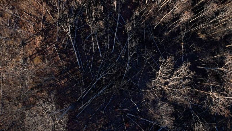 DRONE.00_15_05_05.Still036