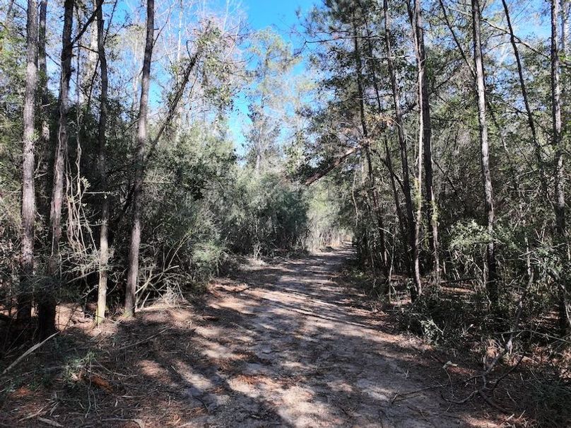 dji_fly_20251209_122246_0769_1765308496922_photo