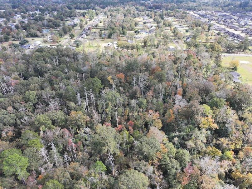 dji_fly_20251118_121526_0733_1763560717447_photo