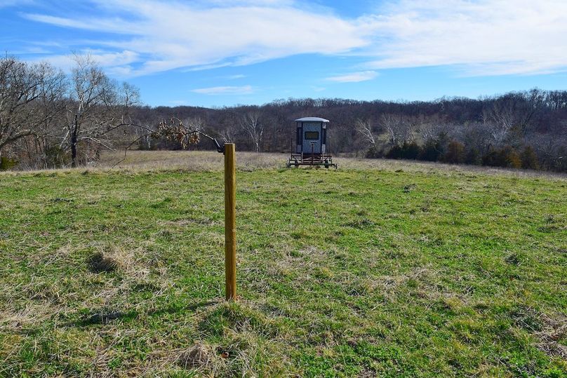 DSC_0279_inPixio (2)