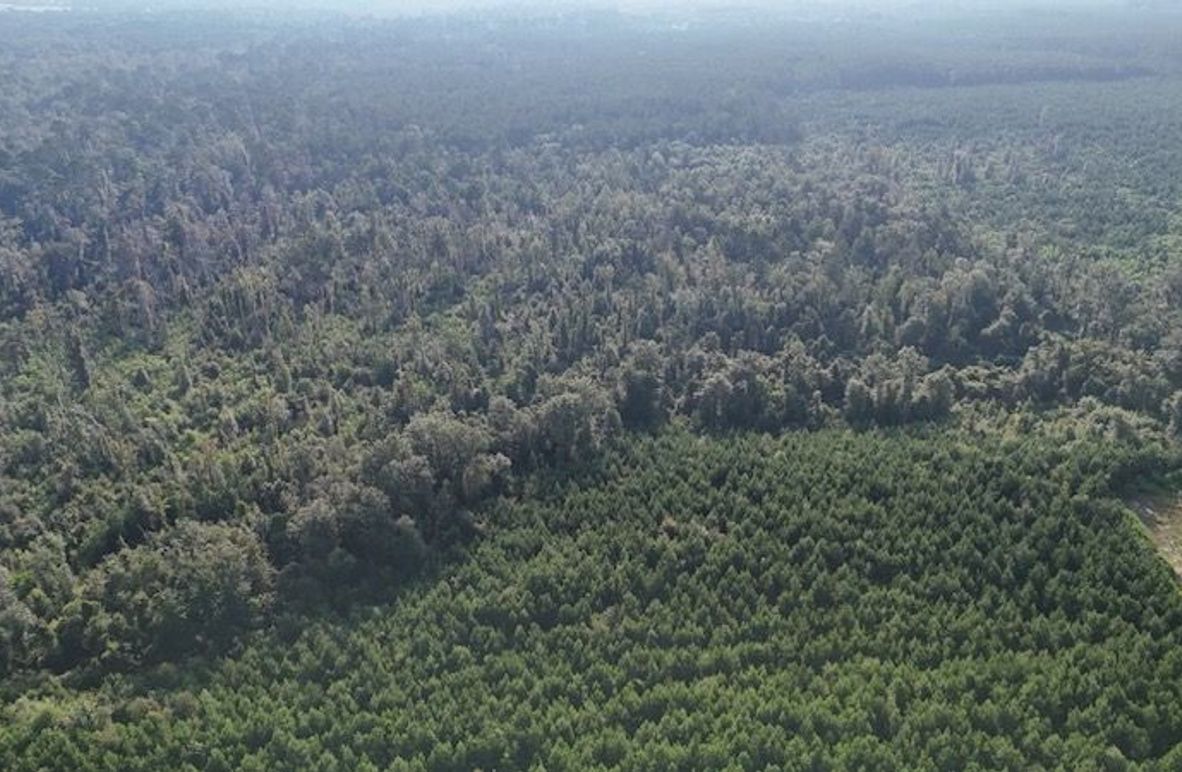 dji_fly_20250903_215830_0018_1756926956791_photo